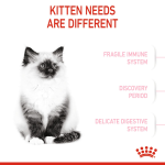 Royal Canin Kitten Dry Food – Feline Health Nutrition 400g