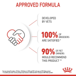 Royal Canin Kitten Dry Food – Feline Health Nutrition 400g