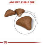 Royal Canin Feline Care Nutrition Hairball Care Dry Cat Food – 4kg