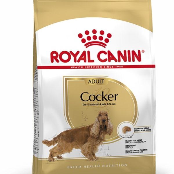 Royal Canin Breed Health Nutrition Cocker Adult Dry Dog Food 3 kg