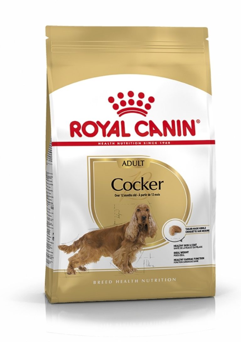 Royal Canin Breed Health Nutrition Cocker Adult Dry Dog Food 3 kg