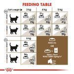Royal Canin Feline Health Nutrition Ageing 12+ Years – 2 kg