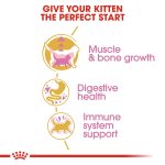 Royal Canin Feline Breed Nutrition British Shorthair Kitten – 2 kg