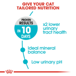 Royal Canin Urinary Care Dry Cat Food 4kg – Healthy Urinary Tract