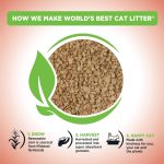 World's Best Multiple Cat Clumping Litter Unscented – 3.63kg