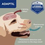 Adaptil Calm Diffuser with Refill – Stress Relief for Dogs