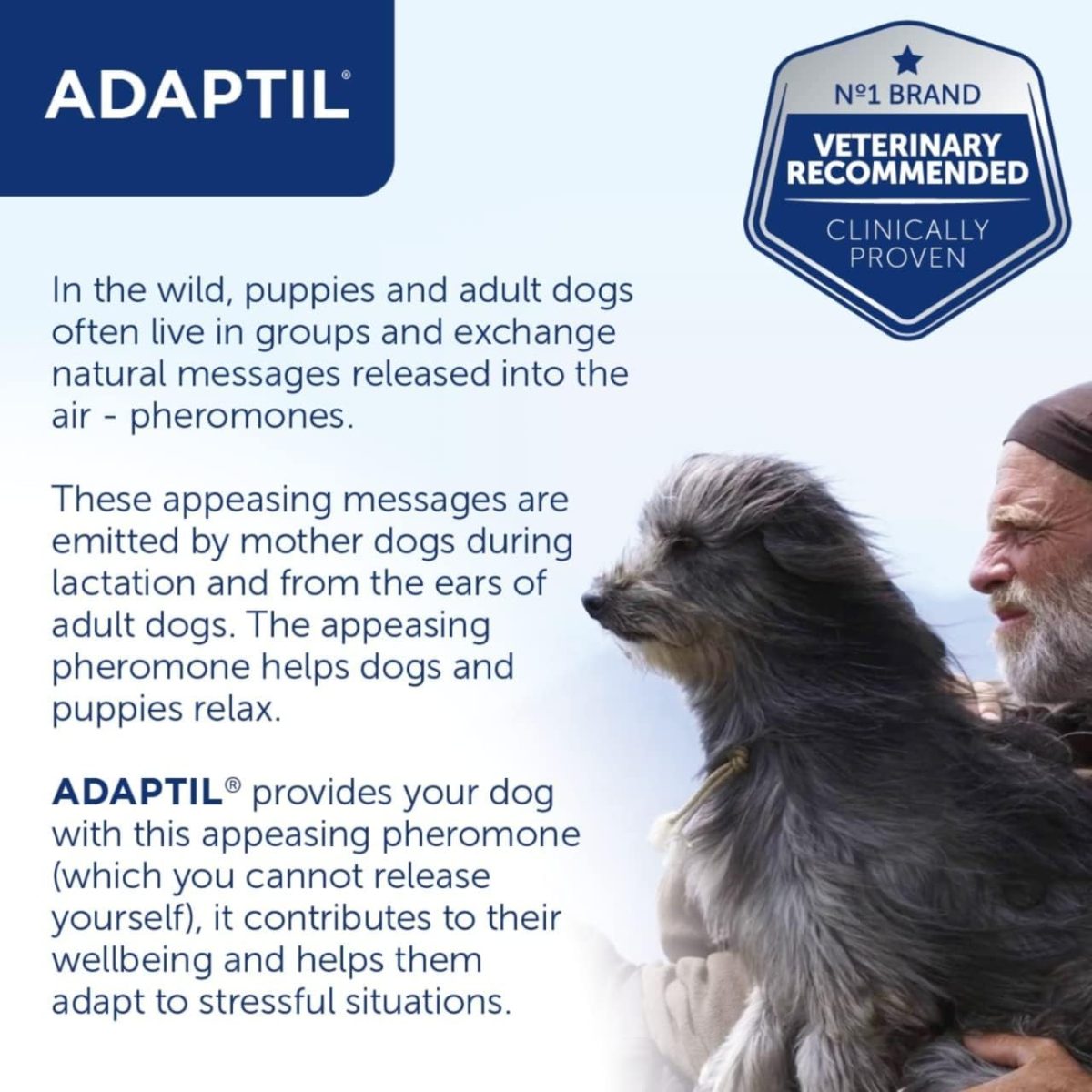 Adaptil Calm Diffuser with Refill – Stress Relief for Dogs - Petopia