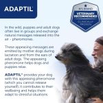 Adaptil Calm Diffuser with Refill – Stress Relief for Dogs