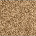 Cat's Best Biodegradable Clumping Cat Litter 8.6kg – Plant Fiber Formula