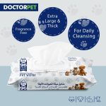 Doctor Pet Large Hypoallergenic Pet Wipes for Dogs & Cats