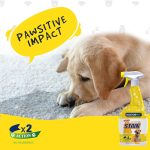 Doctor Pet Max Power Pet Stain & Odor Remover for Cats & Dogs – Citrus Scent 750ml