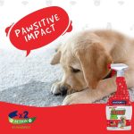 Doctor Pet Stain & Odour Remover Floral 750ML