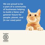 Applaws Natural Wet Cat Food – Tuna Fillet & Pacific Prawn, 12 x 70g