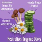 Earthbath Pet Tushy Wipes – Rosemary & Chamomile Scent, 20x18cm