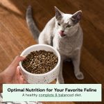 Open Farm Dry Cat Food with Wild Caught Salmon - 1.81kg