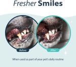 Synergy Labs Dental Fresh Mouth Wash for Dogs & Cats 503ml – Oral Care Water Additive