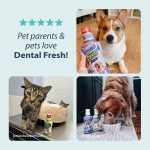 Synergy Labs Dental Fresh Mouth Wash for Dogs & Cats 503ml – Oral Care Water Additive