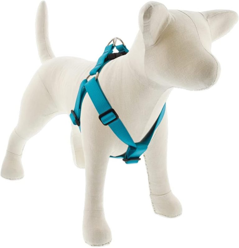 Lupine Basics Light Blue Dog Harness (49-68cm)