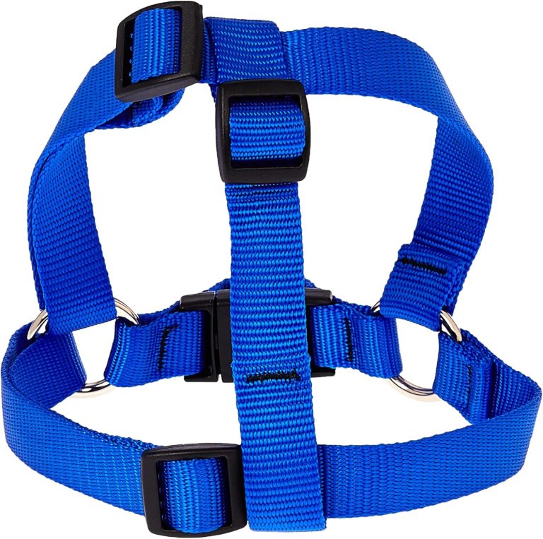 Lupine Blue Dog Harness (39-53cm)