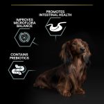 Purina Pro Plan Sensitive Digestion Small & Mini Adult Dry Dog Food with Lamb – 3 kg