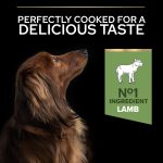 Purina Pro Plan Sensitive Digestion Small & Mini Adult Dry Dog Food with Lamb – 3 kg