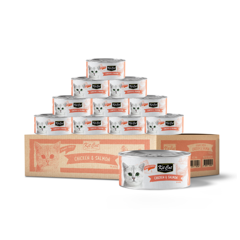 Kit Cat, Classic Chicken & Salmon, Grain-Free, Wet Cat Food, Adult Cat Food, Gourmet Cat Toppers, 80g Cat Food, 24pcs Pack, Healthy Cat Food