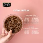 Kit Cat Dry Food with Tuna & Salmon – Nutritious 1KG Pack