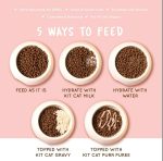 Kit Cat Dry Food with Tuna & Salmon – Nutritious 1KG Pack