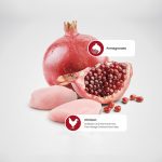 Farmina N&D Chicken & Pomegranate Kitten Dry Food – 300g