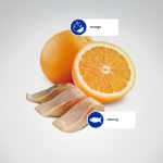 Farmina N&D Ocean Herring & Orange Adult Cat Food 1.5KG