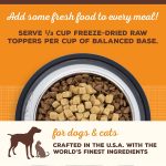Primal Freeze-Dried Raw Beef Topper for Dogs & Cats – 99g