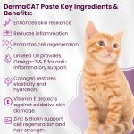 Bio PetActive DermaCat Supplement Paste for Cats 100ml