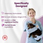 Bio PetActive DermaCat Supplement Paste for Cats 100ml