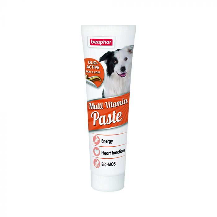 Beaphar Duo Active Multivitamin Dog Paste Supplement 100g