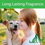 Nootie Daily Spritz Coconut Lime Verbena Pet Spray 236ml Bottle