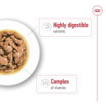Royal Canin Mini Adult Wet Dog Food 12 x 85g – Gravy Pouches