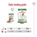 Royal Canin Mini Adult Wet Dog Food 12 x 85g – Gravy Pouches