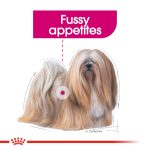 Royal Canin Canine Care Nutrition Exigent Wet Dog Food Pouches (12 x 85g)