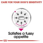Royal Canin Canine Care Nutrition Exigent Wet Dog Food Pouches (12 x 85g)