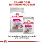 Royal Canin Canine Care Nutrition Exigent Wet Dog Food Pouches (12 x 85g)