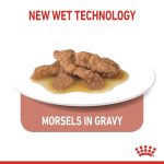 Royal Canin Indoor 7+ Wet Cat Food 12 x 85g – Morsels in Sauce