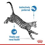 Royal Canin Indoor 7+ Wet Cat Food 12 x 85g – Morsels in Sauce