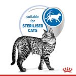 Royal Canin Indoor 7+ Jelly Wet Cat Food 12 x 85g