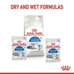 Royal Canin Indoor 7+ Jelly Wet Cat Food 12 x 85g