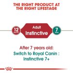 Royal Canin Feline Health Nutrition Instinctive Adult Cats Jelly (12 x 85g)