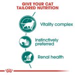 Royal Canin Feline Health Nutrition Instinctive 7+ Gravy (Wet Food – Pouches) 12x85g