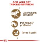 Royal Canin Feline Health Nutrition Ageing 12+ Jelly Wet Food 12 x 85 g
