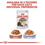 Royal Canin Feline Health Nutrition Ageing 12+ Jelly Wet Food 12 x 85 g