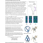 Lupine Basics Light Blue Dog Harness (49-68cm)