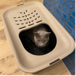 MP Bergamo Micia Cat Litter Box Black & Gray, 58x38x40cm